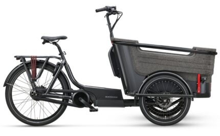 Batavus Fier 3 Env 500 Wh 20 Zoll Dreirad 2023 1.jpg