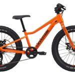 Cannondale Kids Trail Plus - 20 Zoll - Diamant - 2025