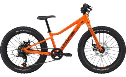 Cannondale Kids Trail Plus 20 Zoll Diamant 2025 1.jpg