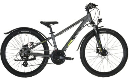 Carver Strict 24 HD Street 24 Zoll Diamant 2024.01 1.jpg