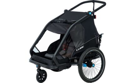 Cube Kinder Fahrradanhaenger Double CMPT.01.jpg