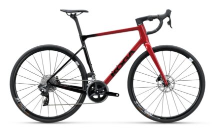 Koga Roqa Premium 28 Zoll 2024 2.jpg