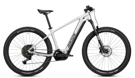 Radon JEALOUS HYBRID 8.0 750.01 1 1.jpg