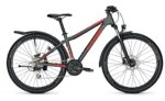 Raleigh Daymax 29 Zoll Diamant Aktion