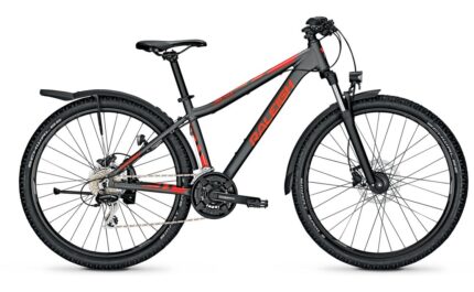 Raleigh Daymax 29 Zoll Diamant Aktion 1.jpg