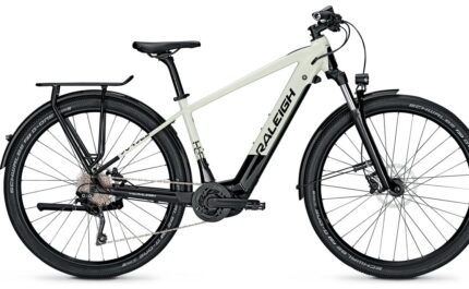 Raleigh Dundee 10 500 Wh 29 Zoll Diamant Aktion 1.jpg
