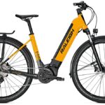 Raleigh Dundee 10 - 625 Wh - 28 Zoll - Tiefeinsteiger - Aktion