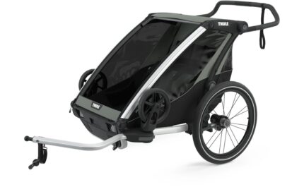 Thule Chariot Lite double.01 1.jpg