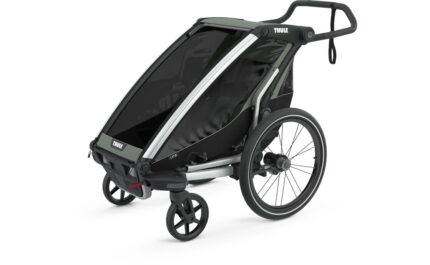 Thule Chariot Lite single.01 1.jpg