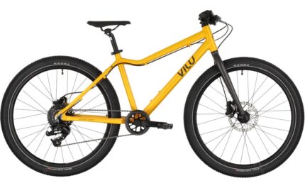 Vilu Disc 24 24 Zoll Diamant 2024.01 1.jpg